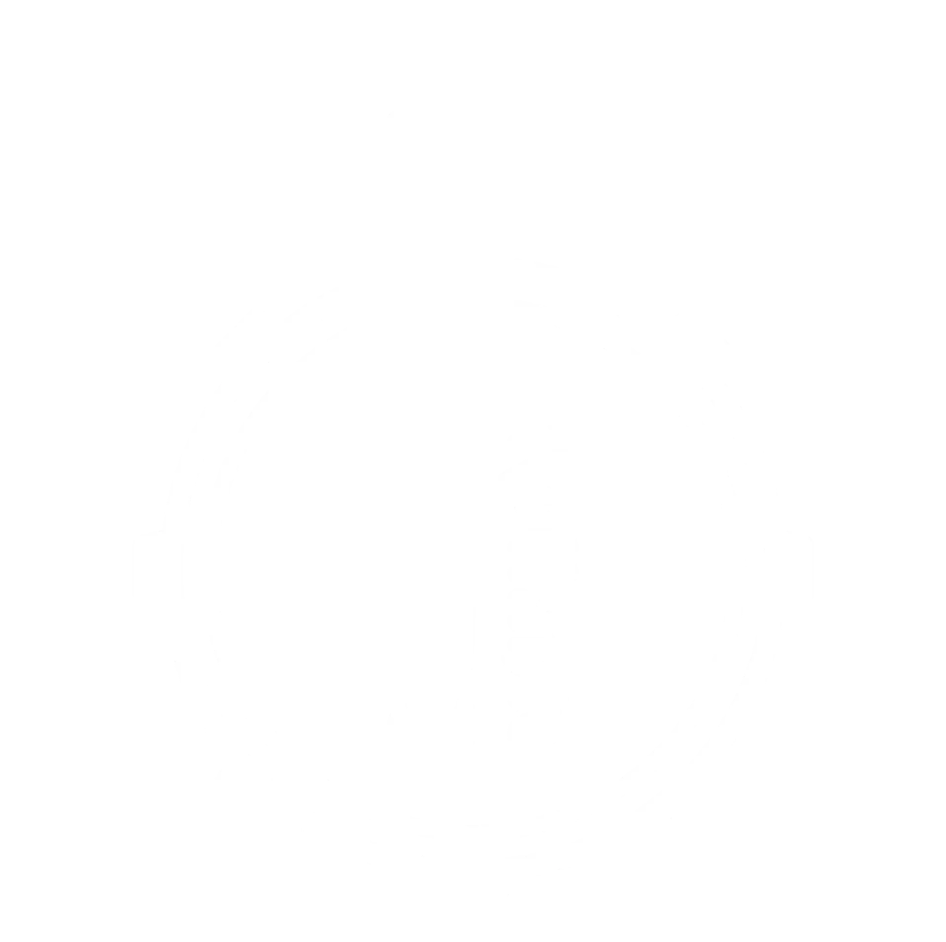 IlRullante - Icona WHITE